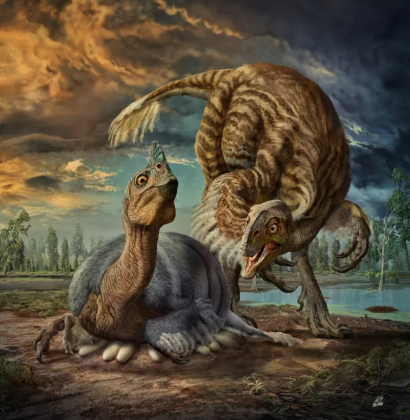 A pair of giant Oviraptors, Beibeilong sinensis, guarding their nest.